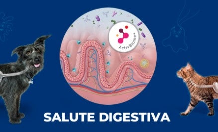 Confezioni Hills Prescription Diet Metabolic . Unisciti per combattere l'obesità degli animali. Noi ti diamo gli strumenti