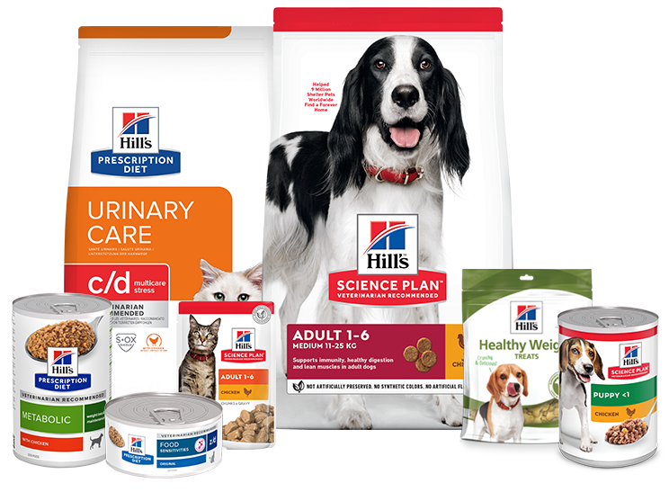Gruppo di alimenti Hill's tra cui crocchette, umido e snack.